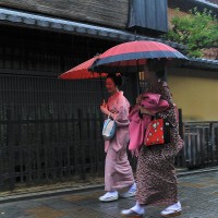 Kyoto Japan   maikos walking in the rain !